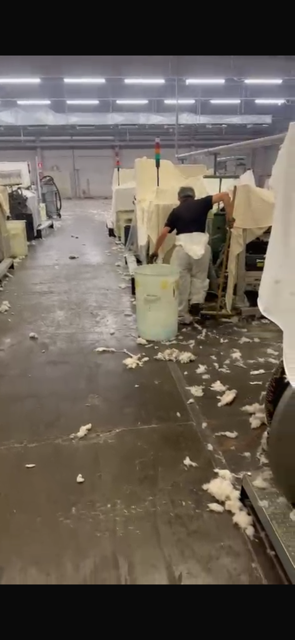 Schoonmaak in een weverij (textielproductie) vraagt een specifieke aanpak door Textielstof & pluisjes (zeer fijn en brandbaar)
